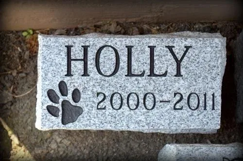 Gray granite pet marker with a paw print